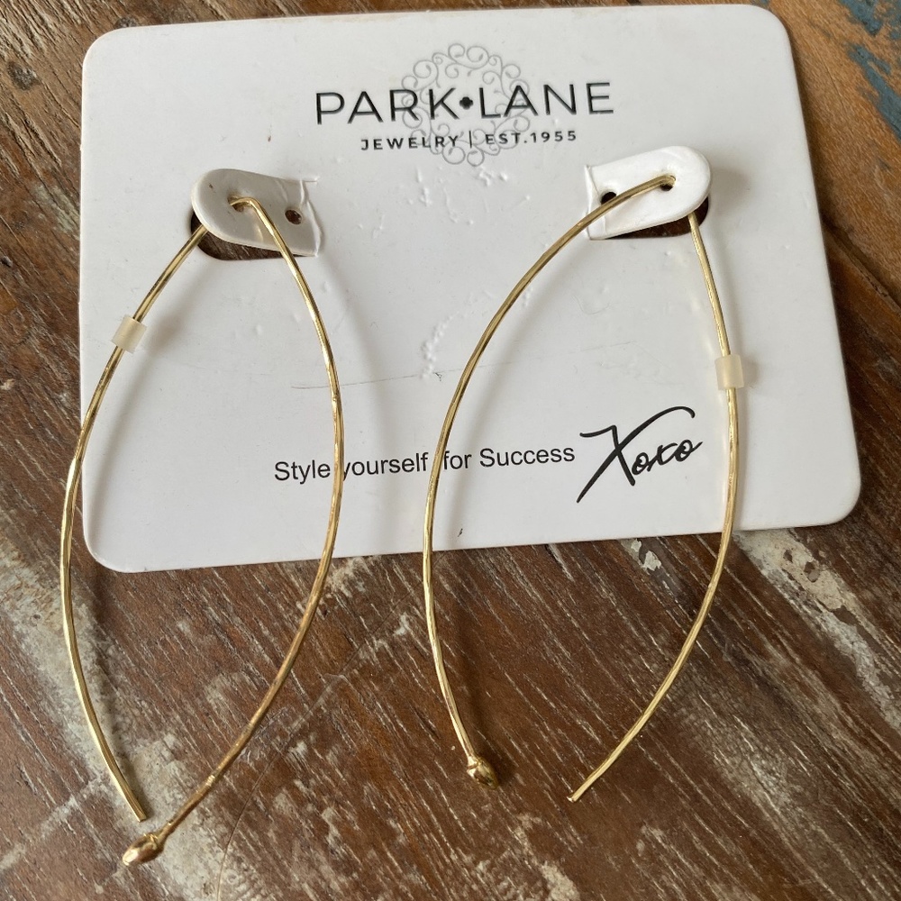 Park Lane Twizzler earrings